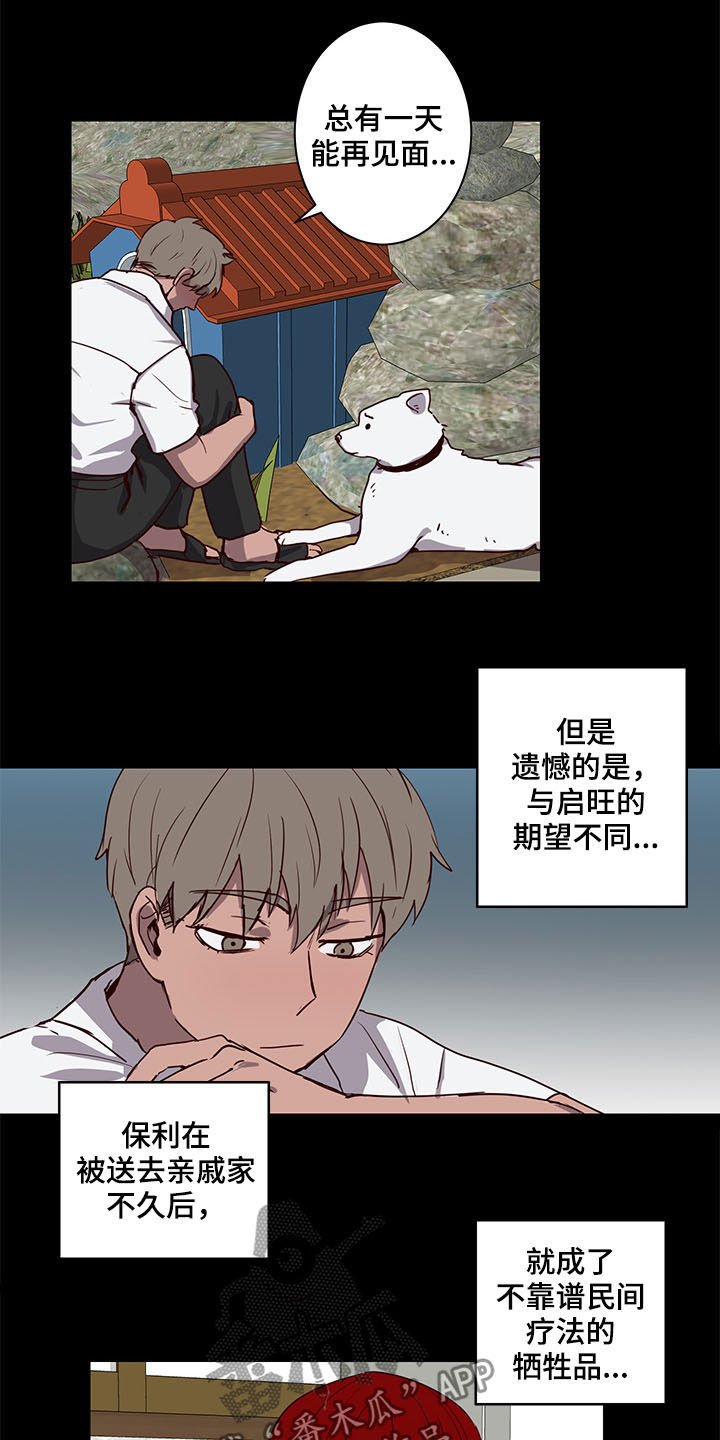 第25章：论坛