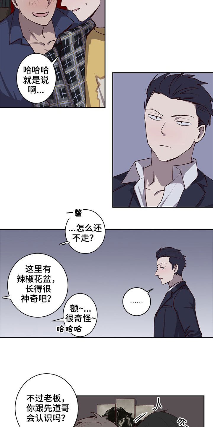 第31章：认识的关系