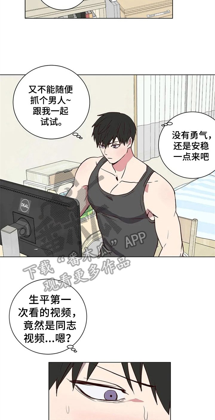第4章：建议