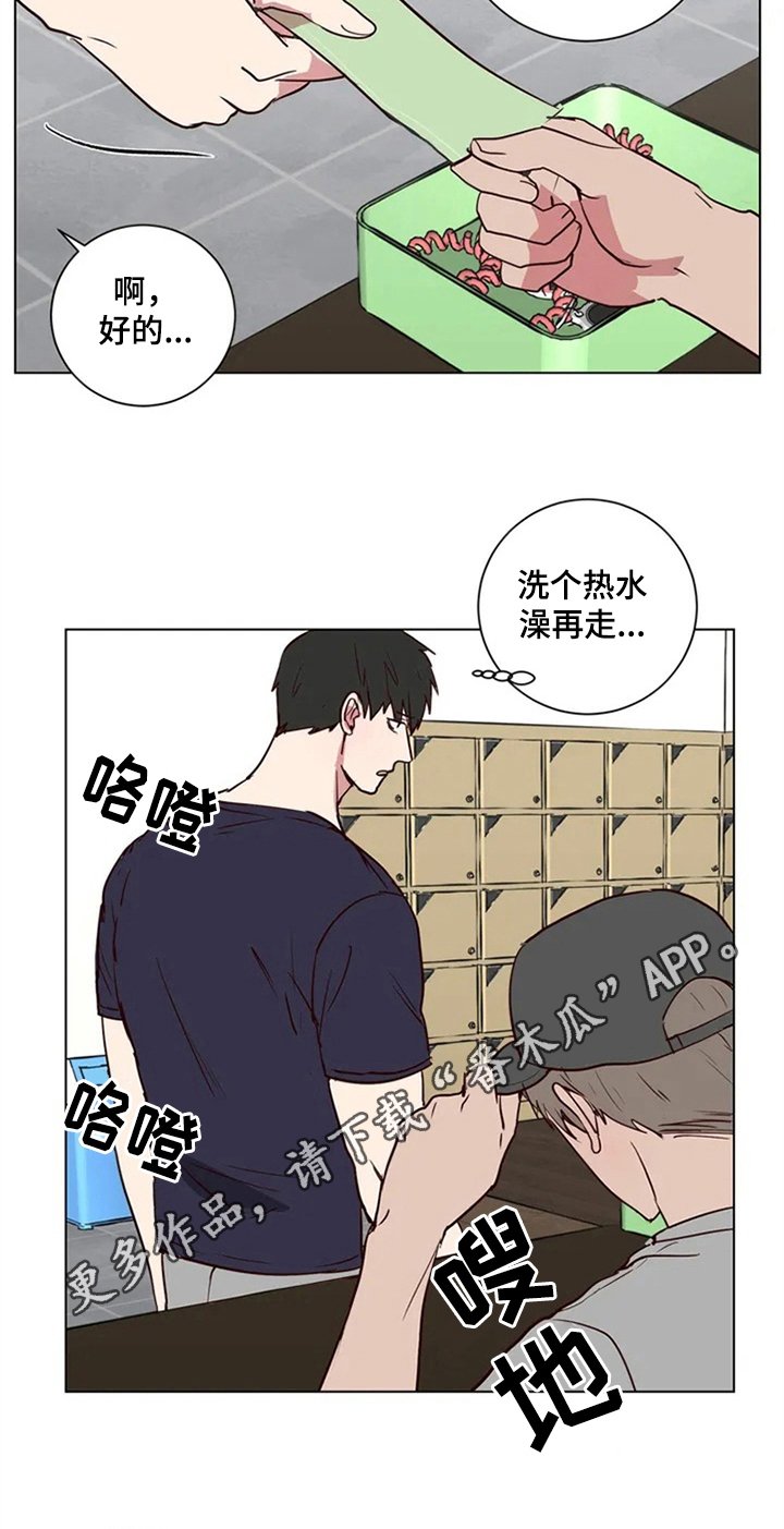 第4章：建议