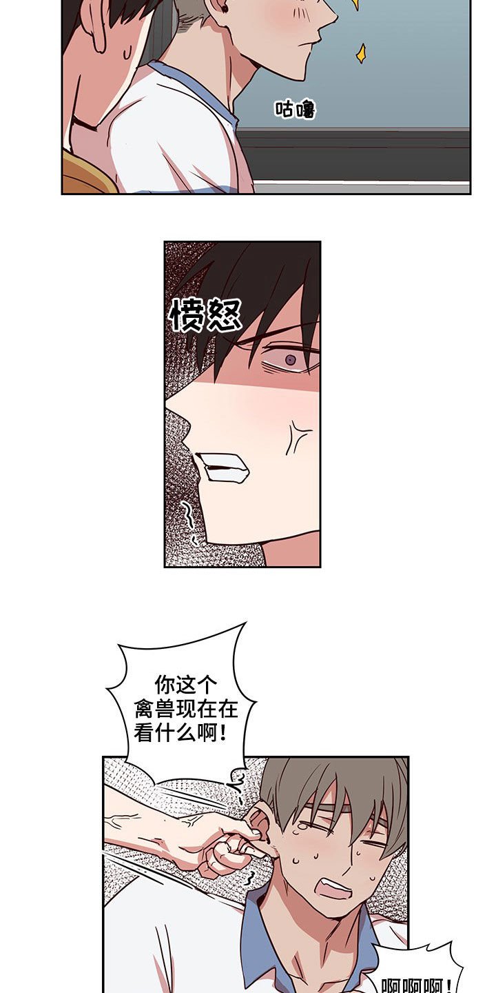 第45章：回家（完结）