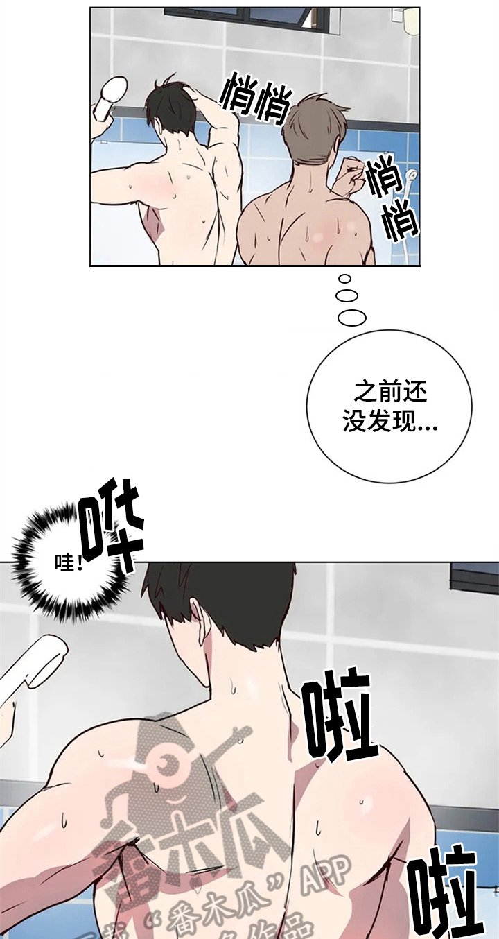 第5章：确认方法