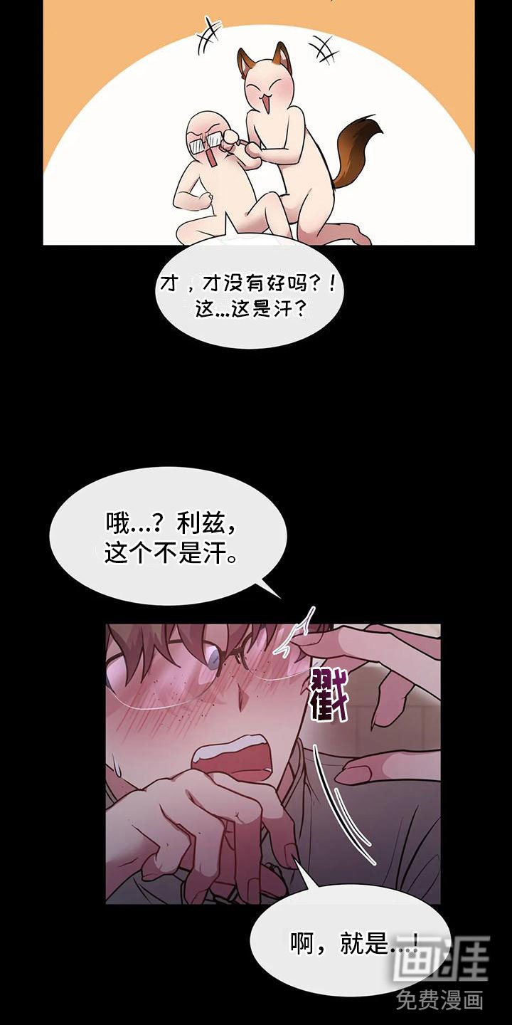 第11章：其他老师