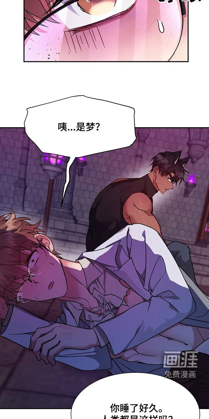 第17章：助手