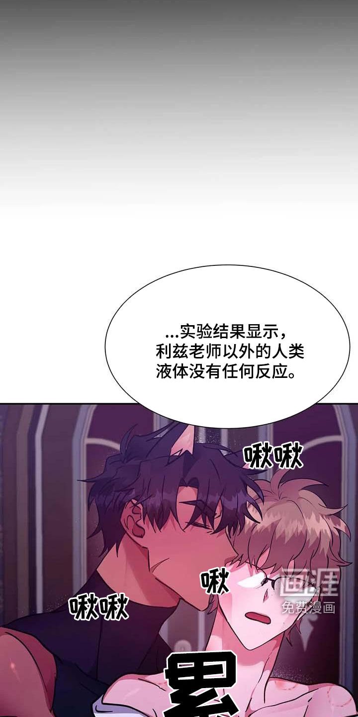 第41章：任务