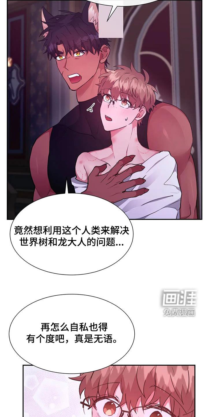 第42章：围观