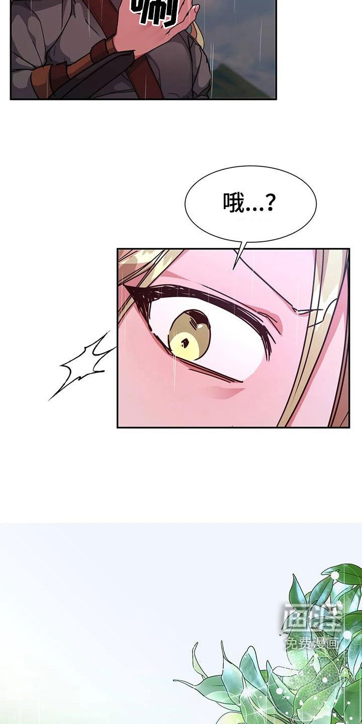 第45章：疯狂生长