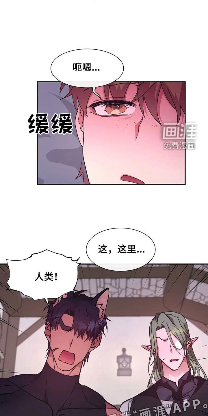 第46章：龙杀手