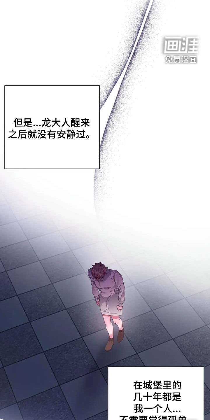 第46章：龙杀手