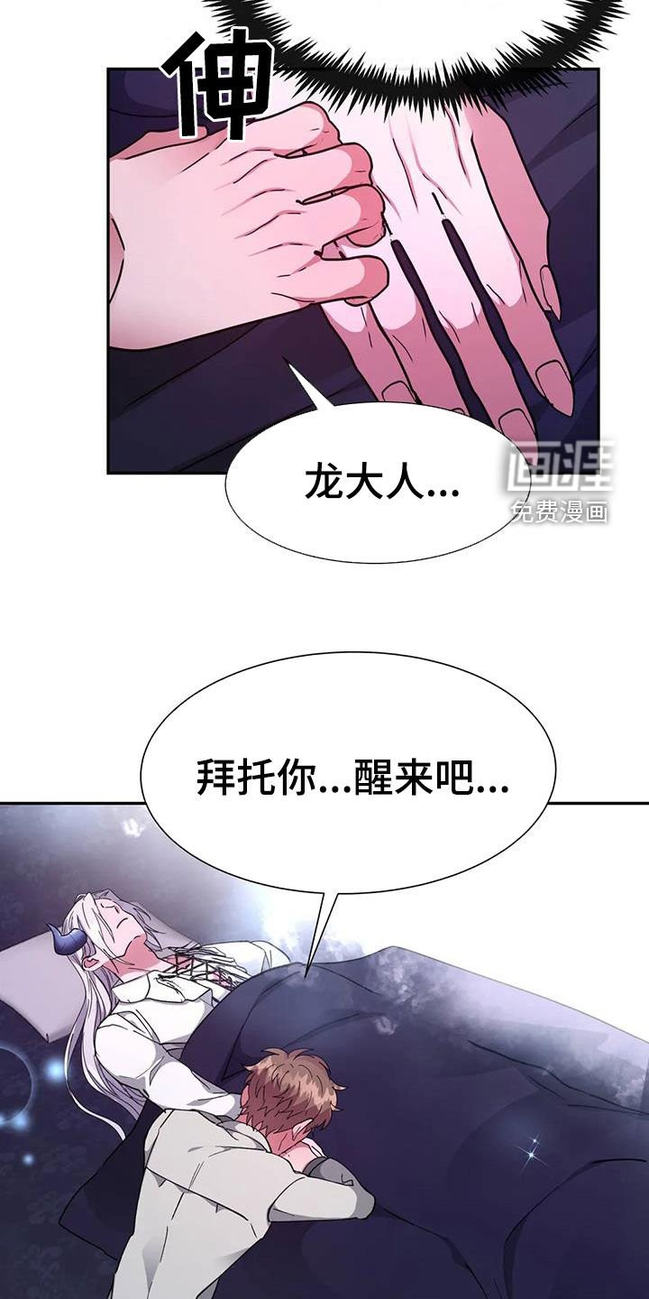 第46章：龙杀手