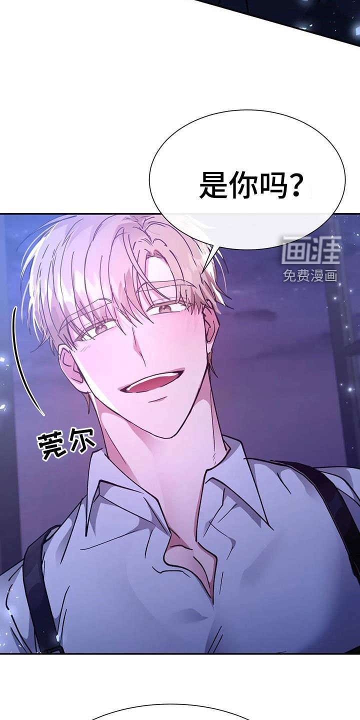 第46章：龙杀手