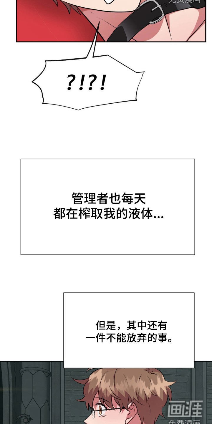 第53章：无法平凡（完结）