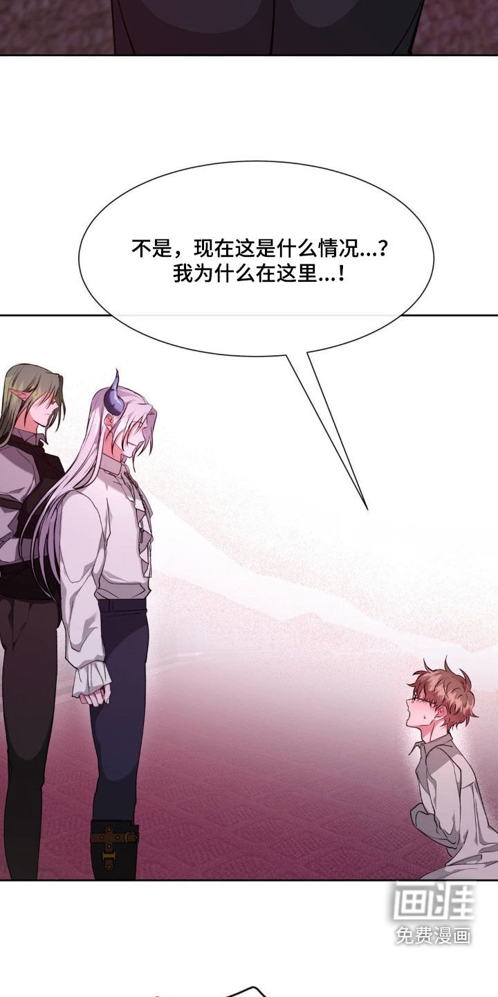 第56章：【番外】要出生了