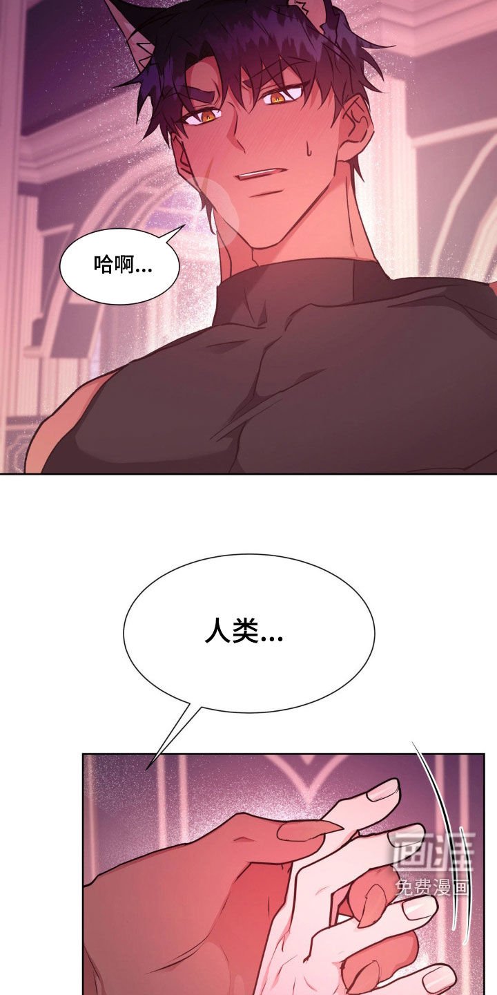 第56章：【番外】要出生了