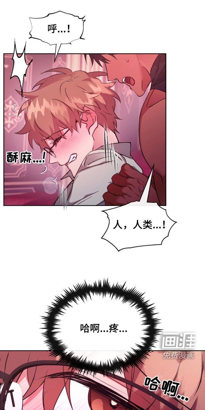 第57章：【番外】出生