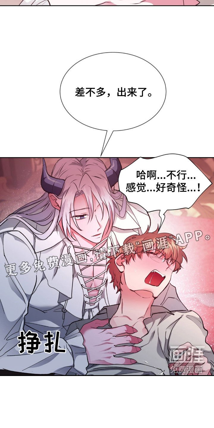 第57章：【番外】出生