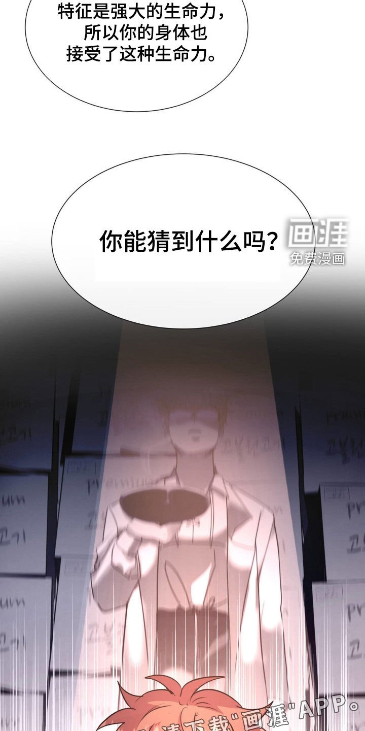 第58章：【番外完结】教育老师