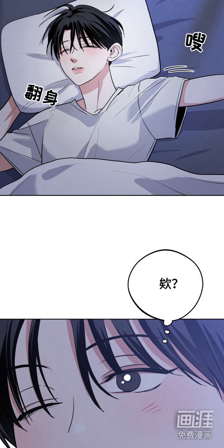 第12章：叫声