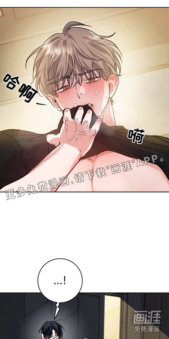 第12章：叫声