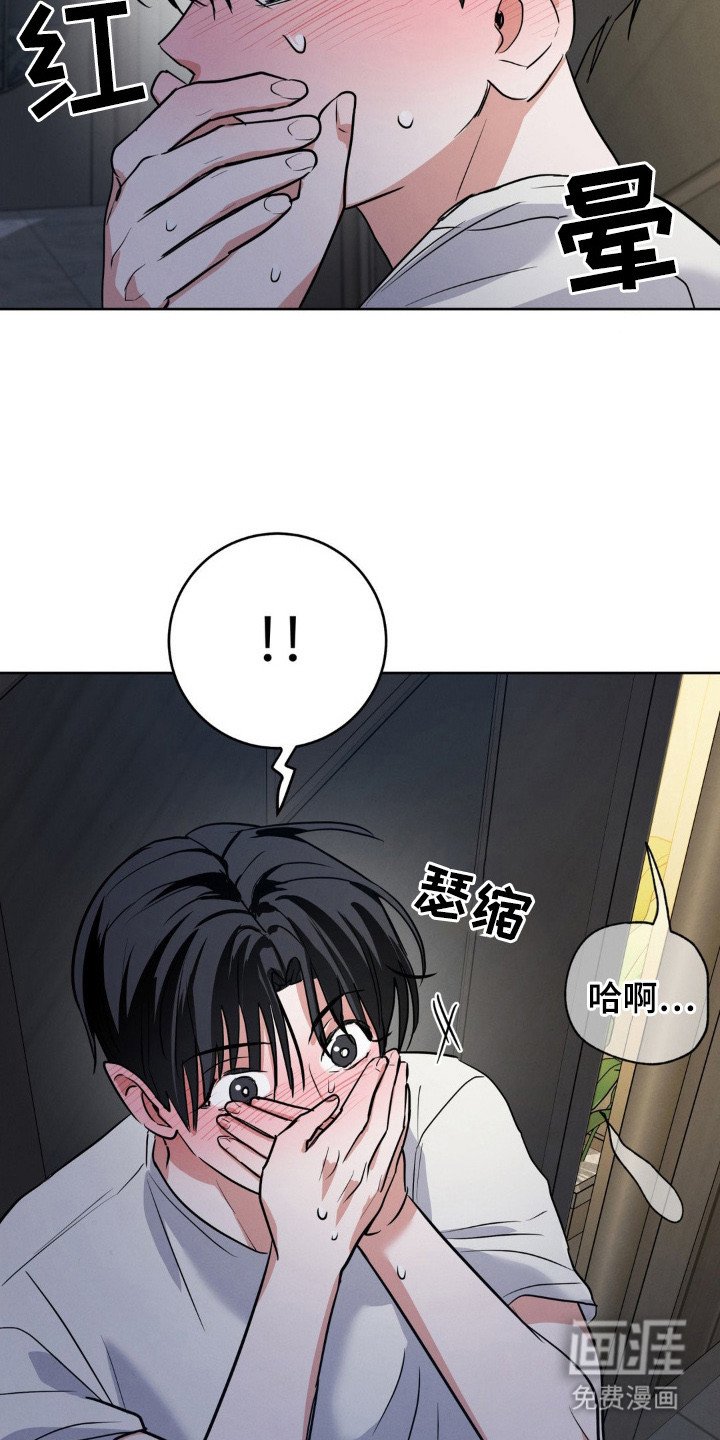 第12章：叫声