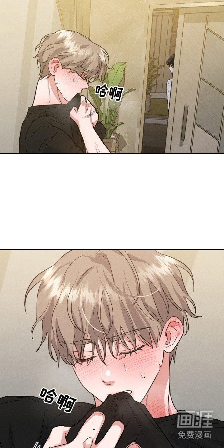 第12章：叫声