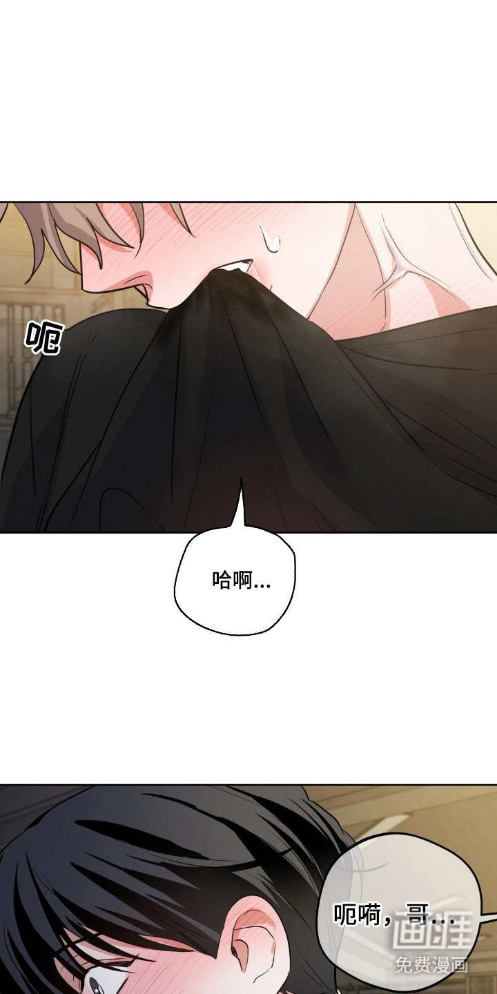 第12章：叫声