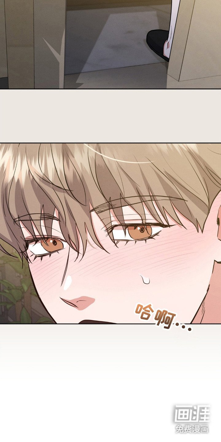 第14章：被发现了