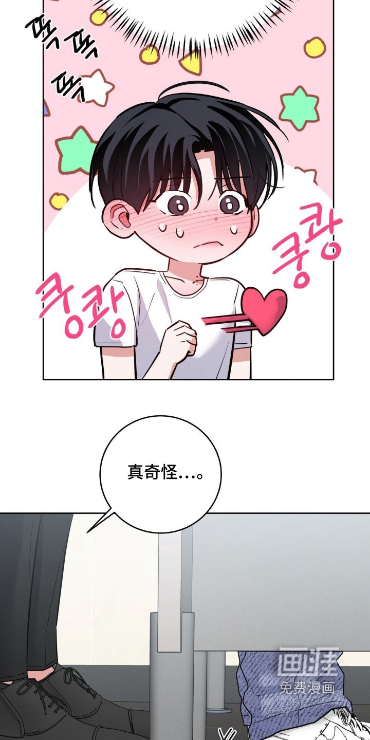第21章：没有发现