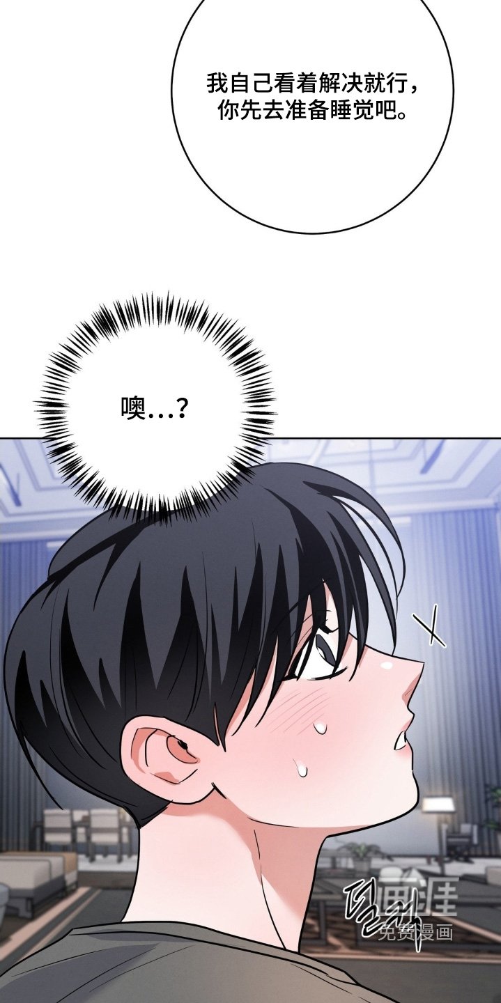 第29章：很合适你