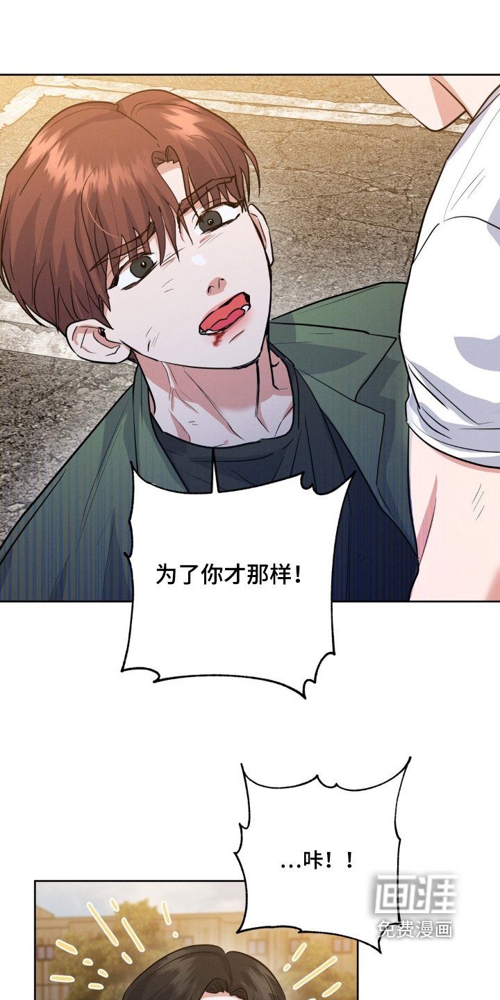 第33章：拍摄内容
