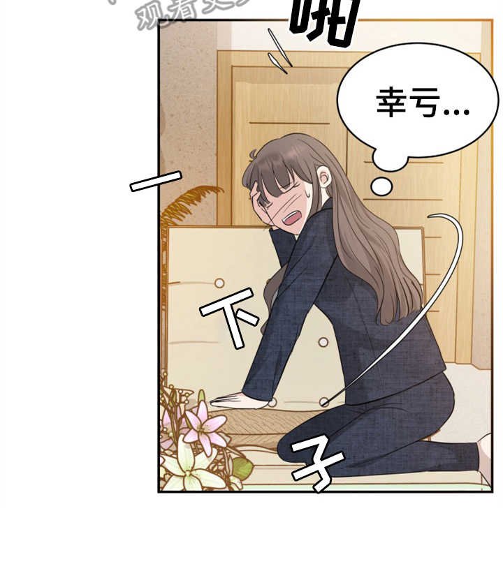 第20章：妥协