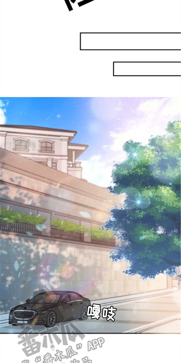 第24章：玫瑰