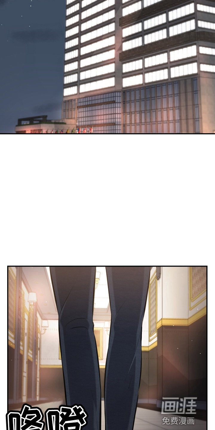 第88章：替身