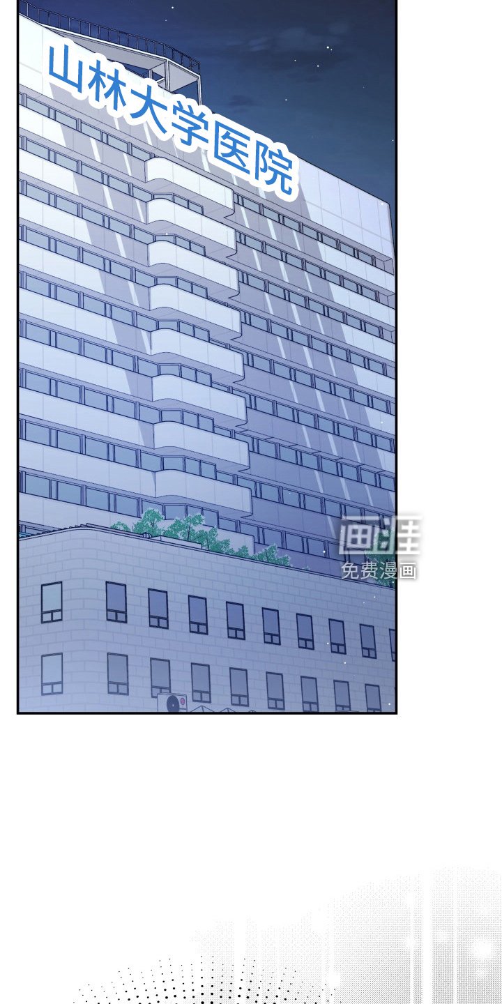 第95章：失忆