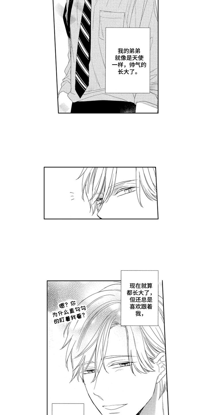 第3章：帅气弟弟