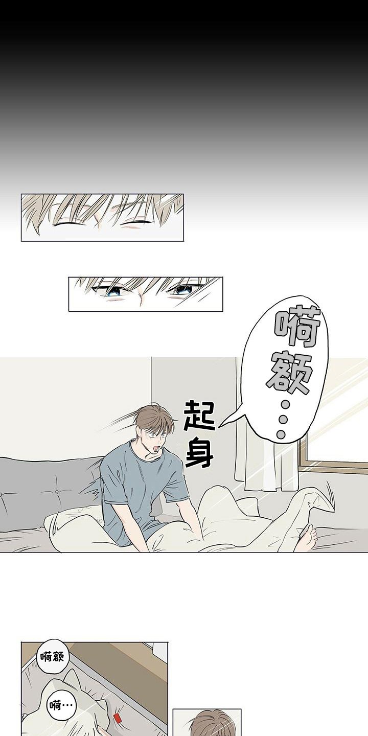 第3章：观察