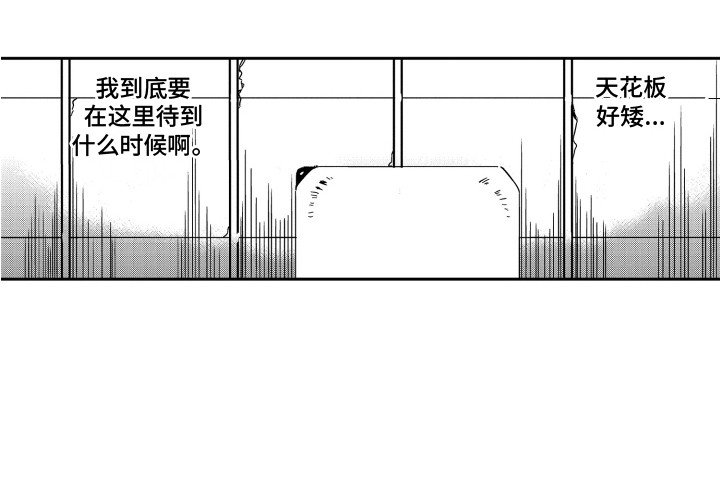 第4章：搬家礼物
