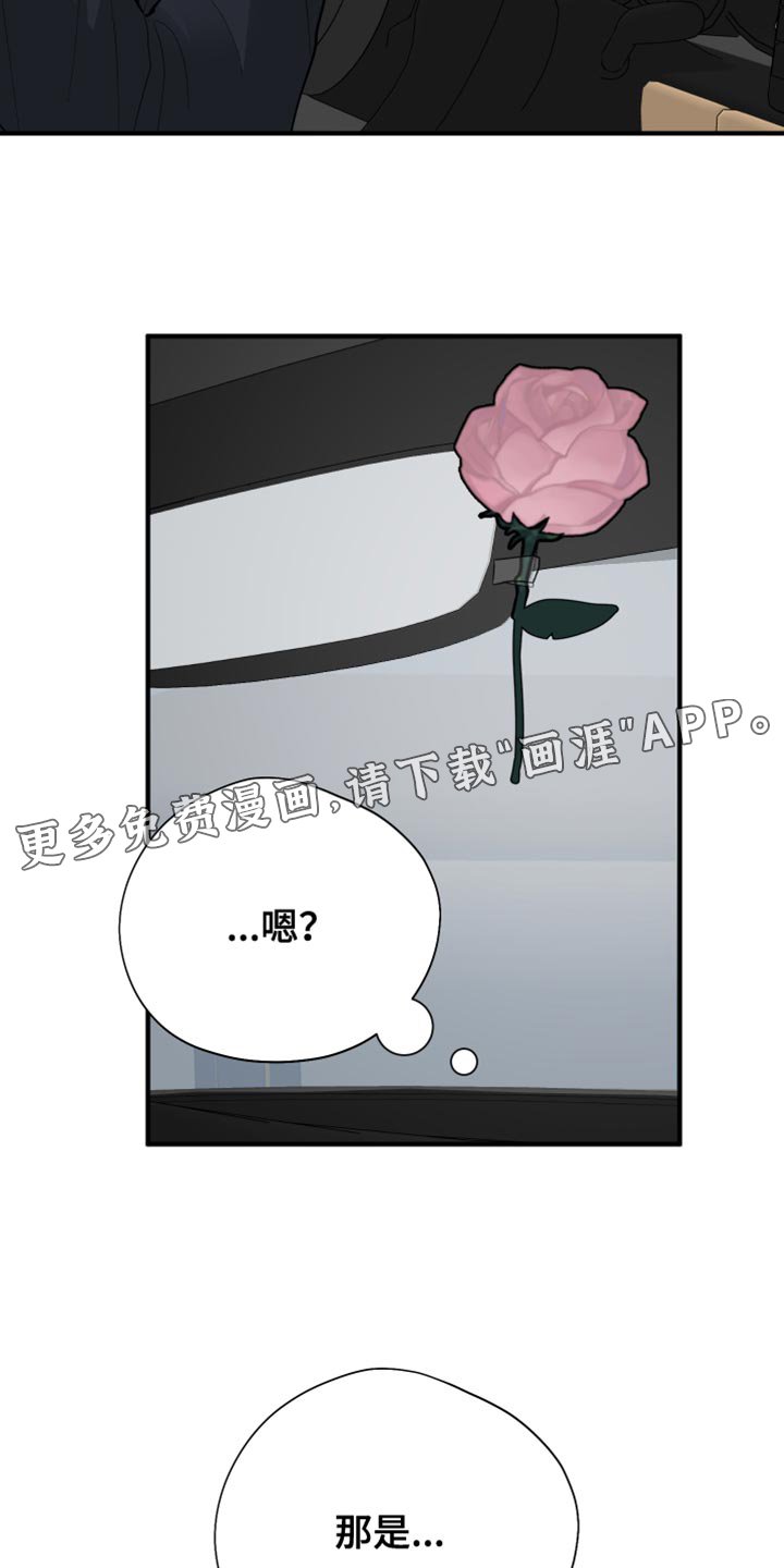 第50章：花朵