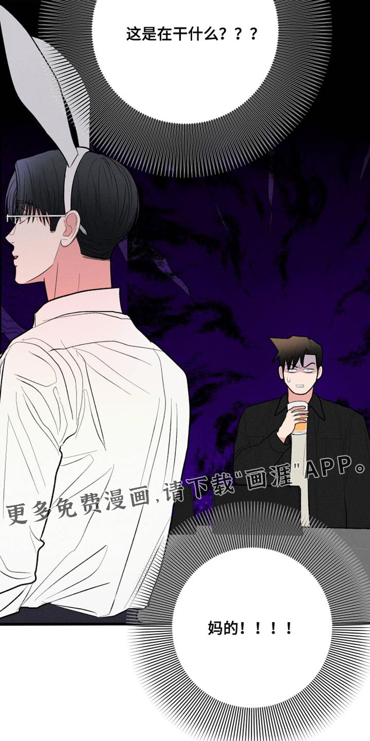第60章：【第二季】情侣活动