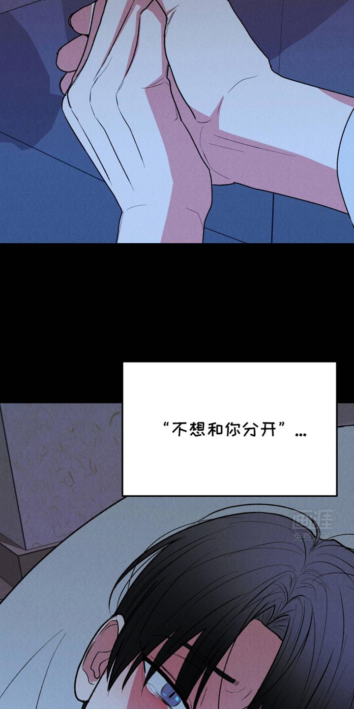 第88章：【第二季】不需要我的关心