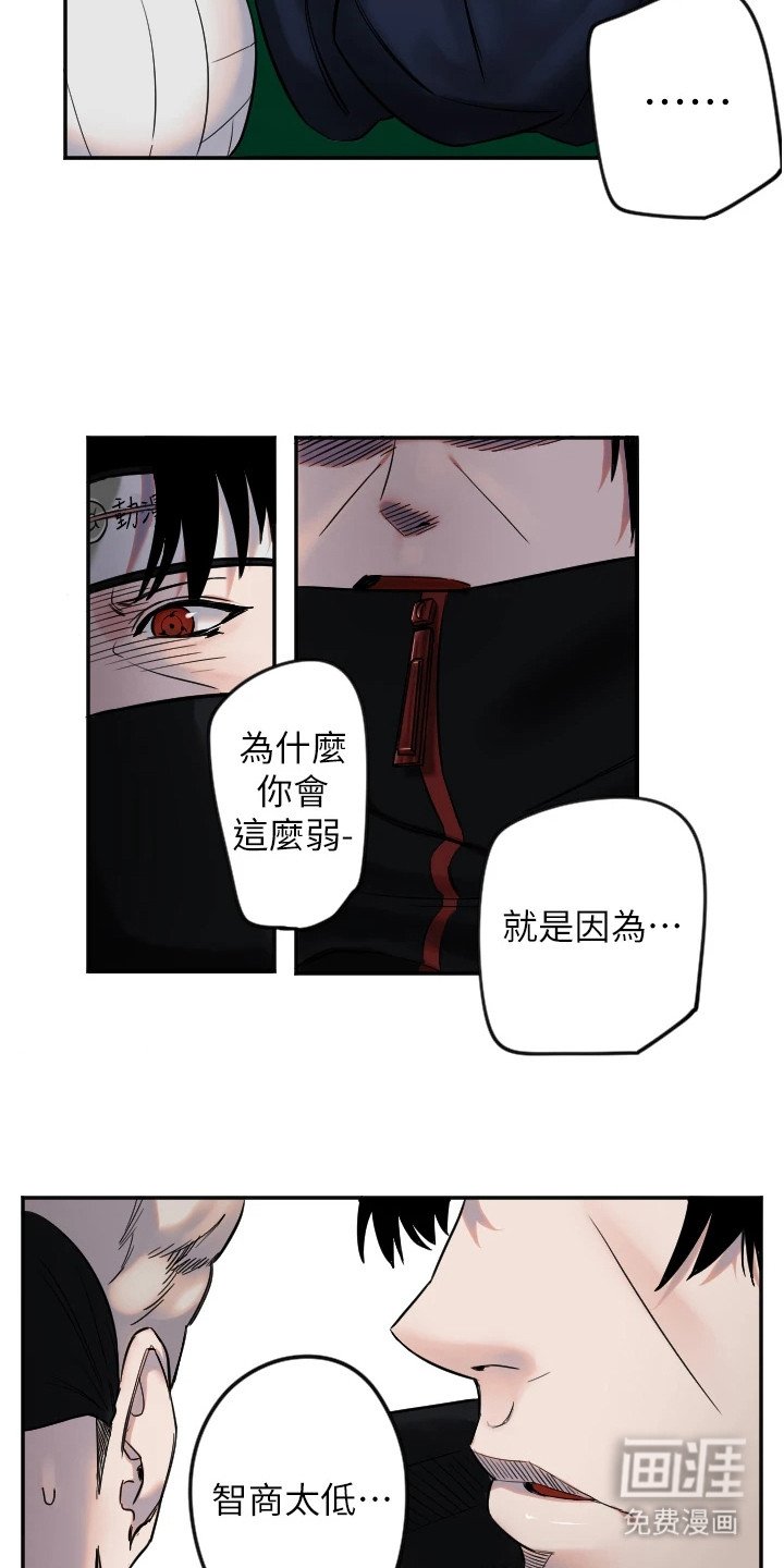 第13章：一箭双雕