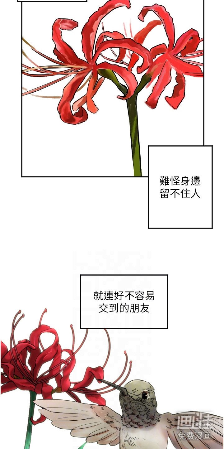 第19章：不再害怕