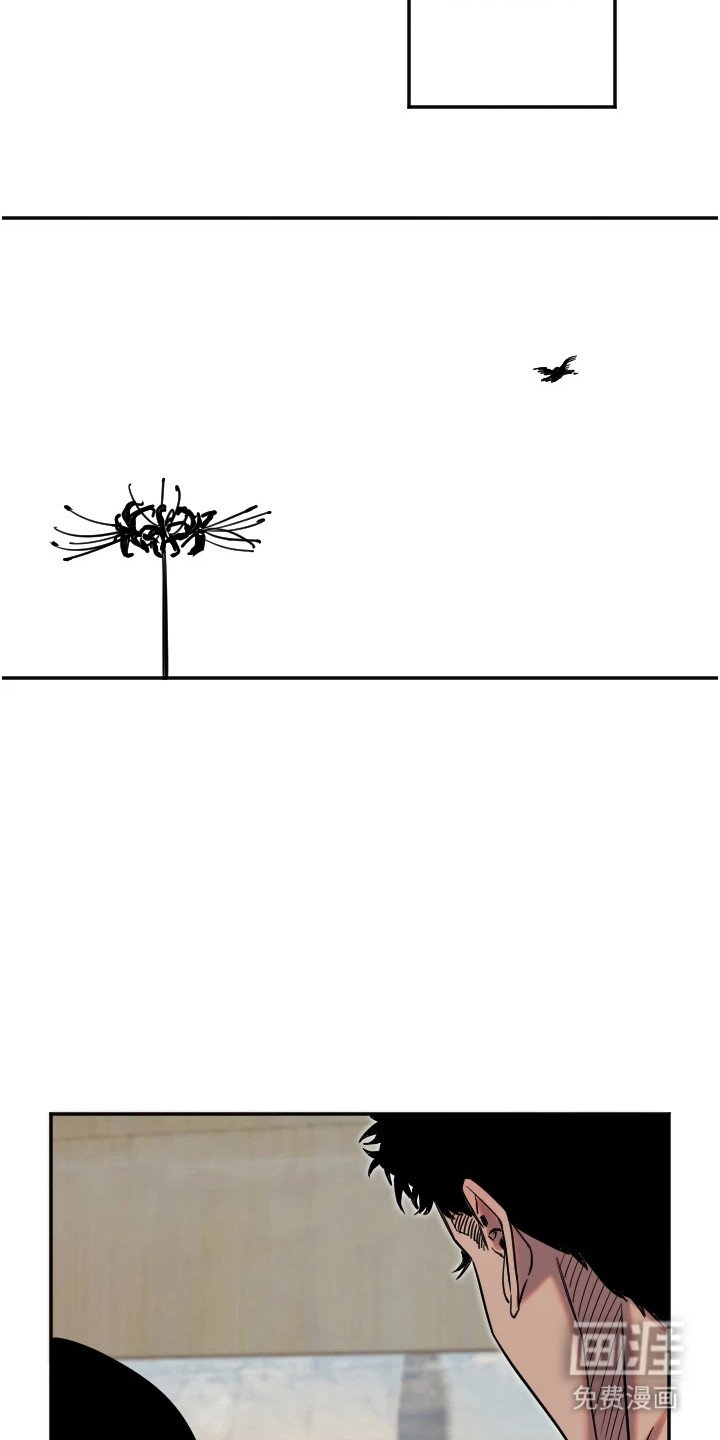 第19章：不再害怕