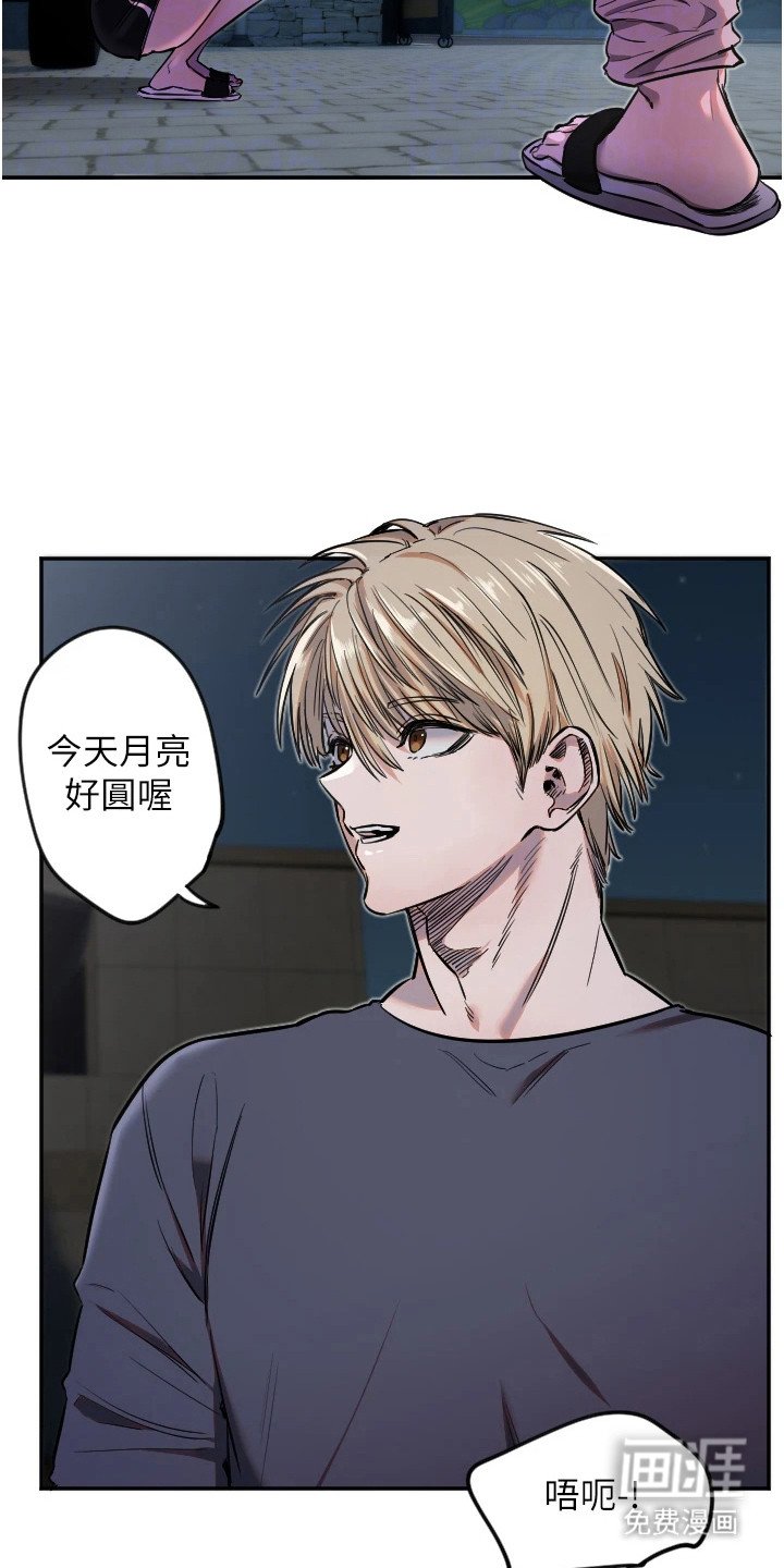 第27章：月色之下
