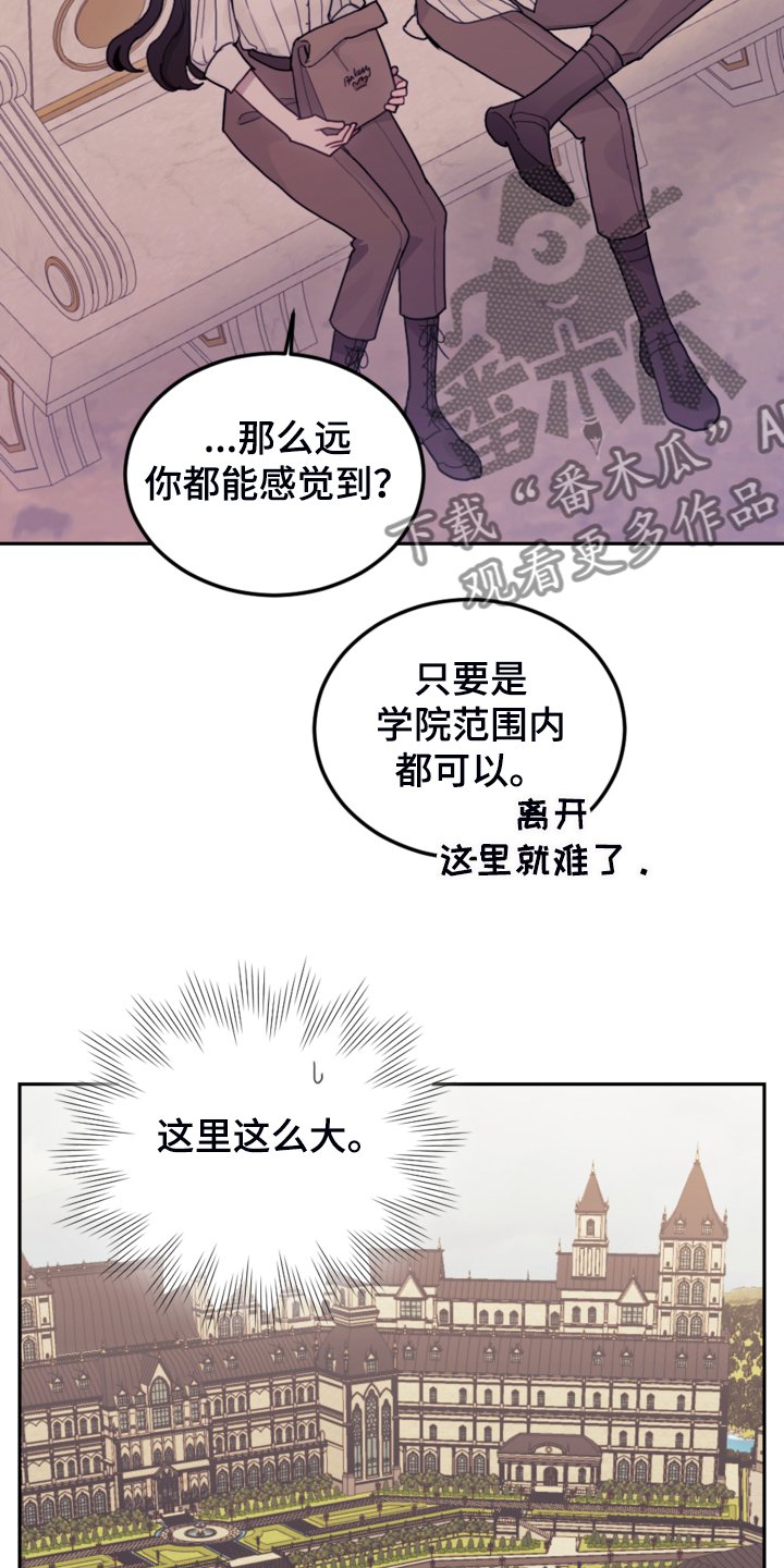 第43章：死不过三