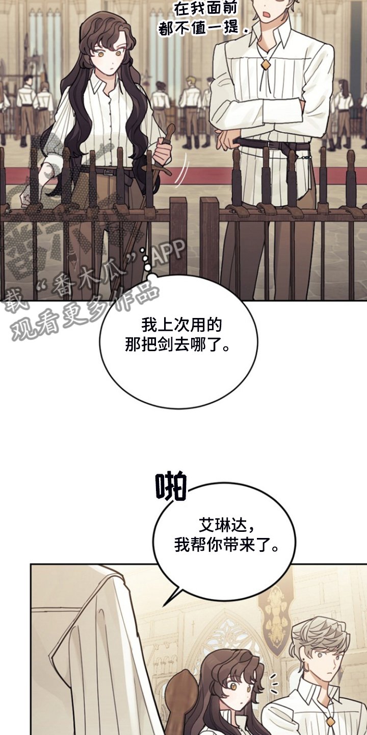 第53章：卢克的剑术