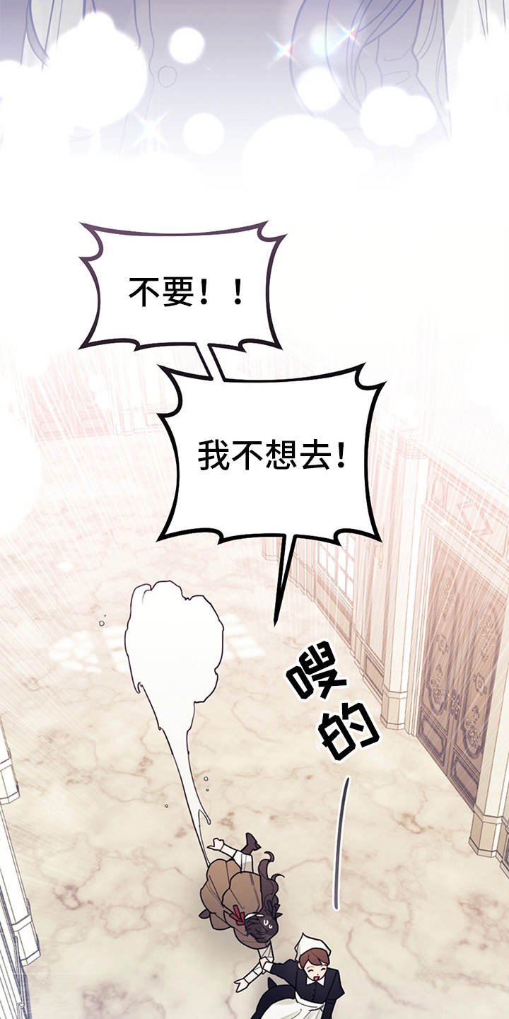 第6章：走自己的路