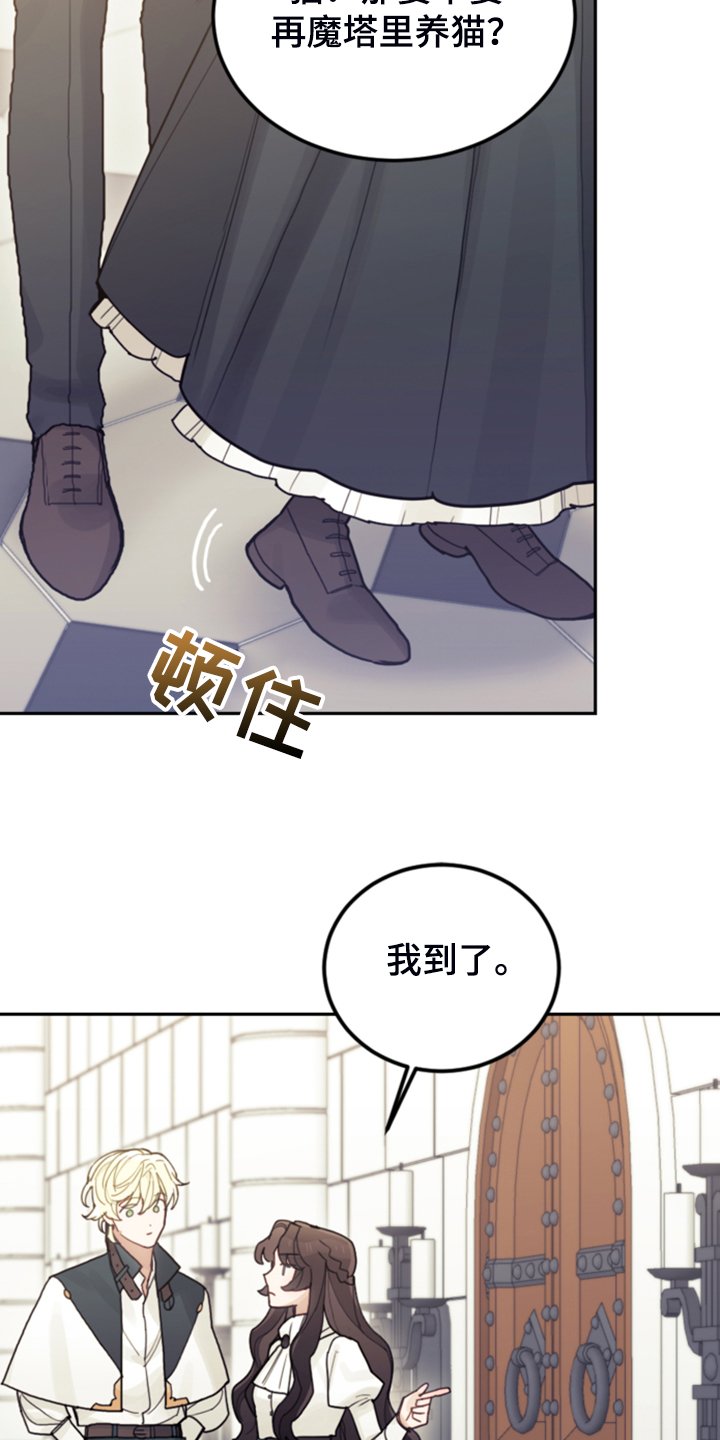 第64章：雷伊诺德也来了