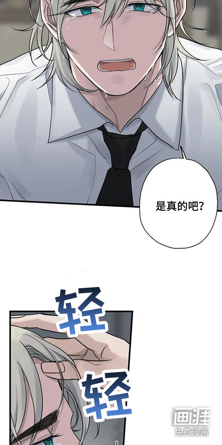 第15章：哭泣