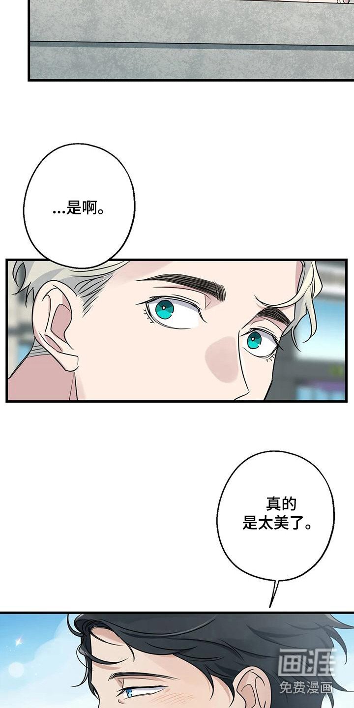 第23章：钓鱼体验